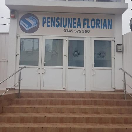 Pensiunea Florian Тулча Экстерьер фото